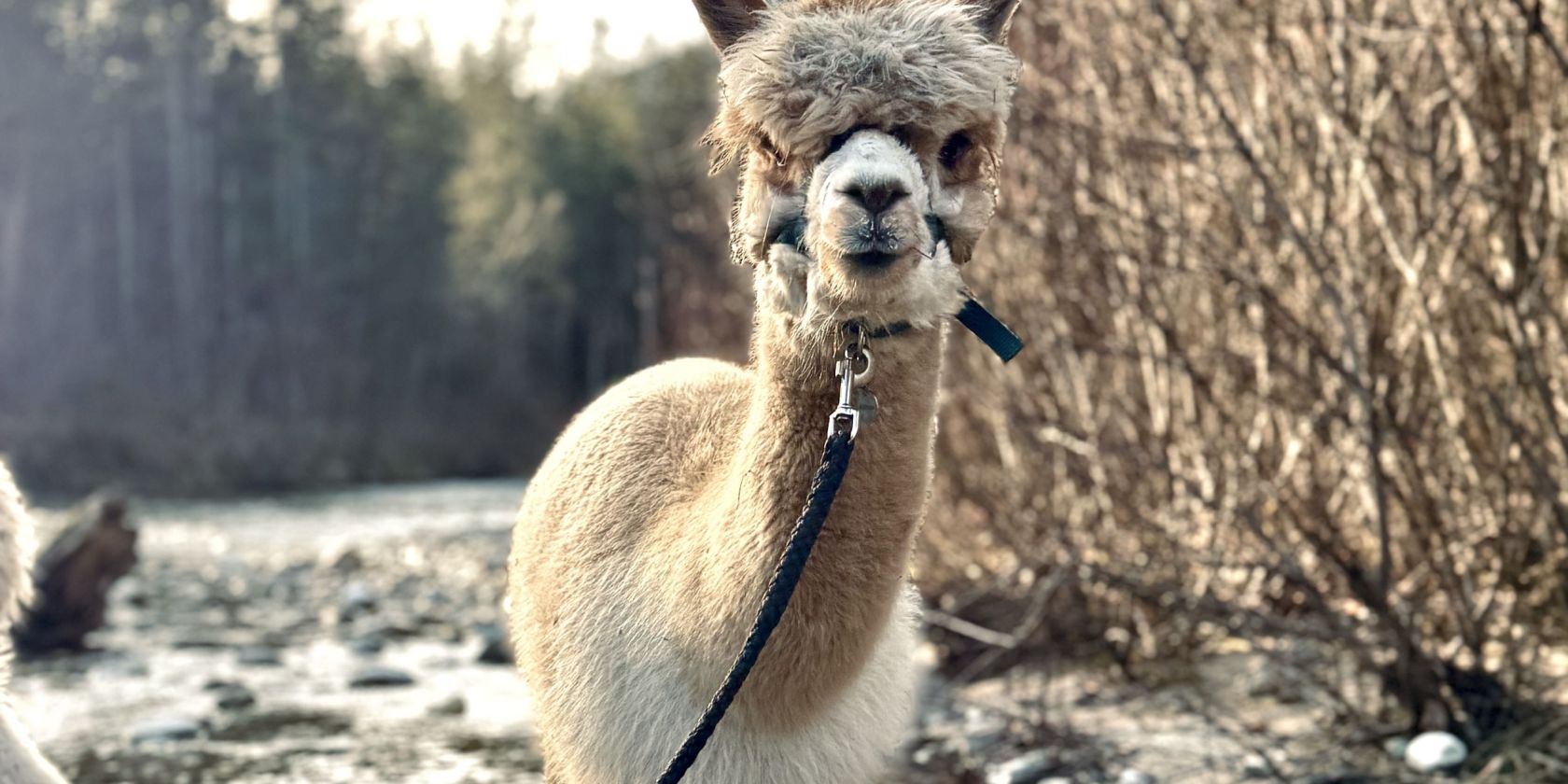 , © Ruhpolding Tourismus , © Ruhpolding Tourismus