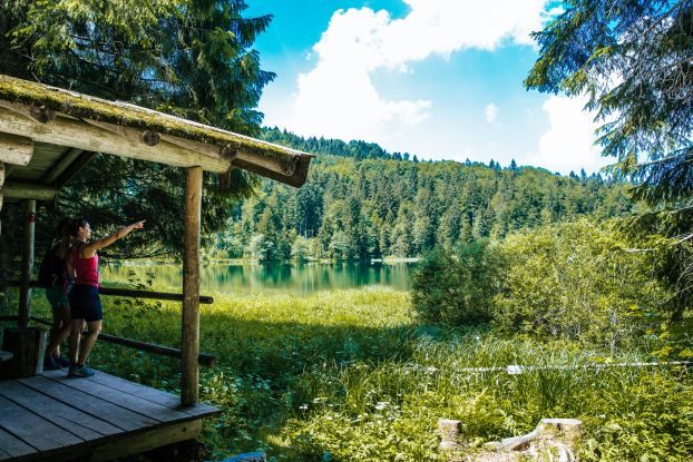 Begrüßungsspaziergang mit Eva-Maria, © Inzeller Touristik GmbH