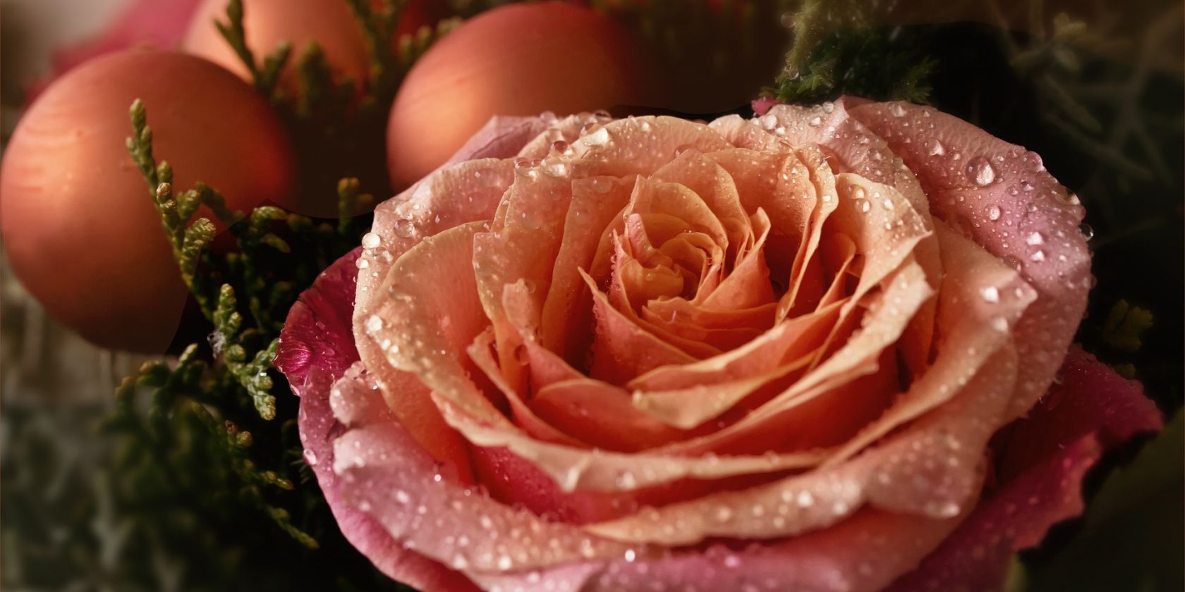 Symbolbild Blumen Advent, © Pixabay