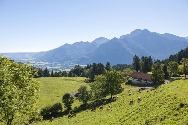 Grassauer Rachalm, © Chiemgau GmbH - Tourismus