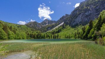 Musikalisch-kulinarische Pfingstwoche: Musikalischer Frillensee