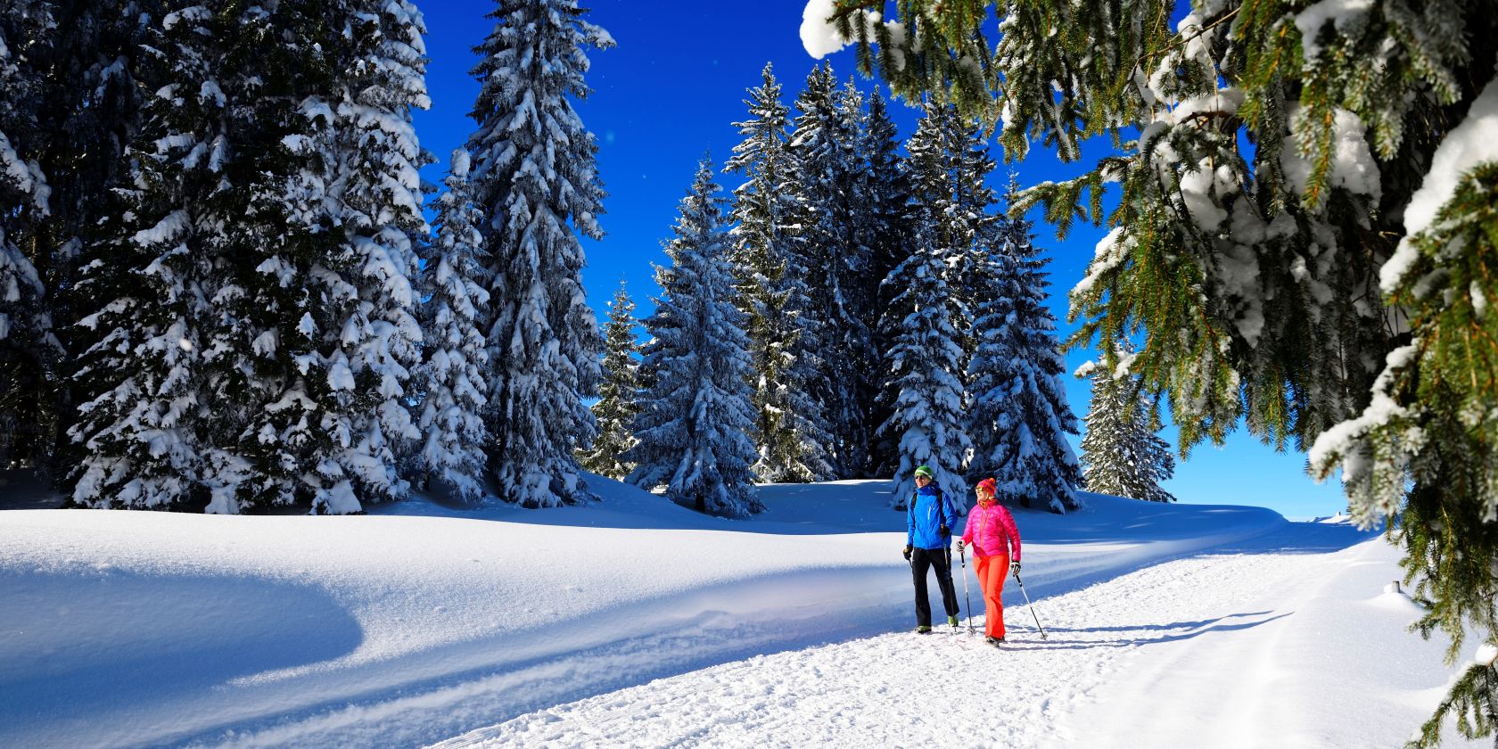 Premium Winterwandern Hemmersuppenalm, © Eisele Hein