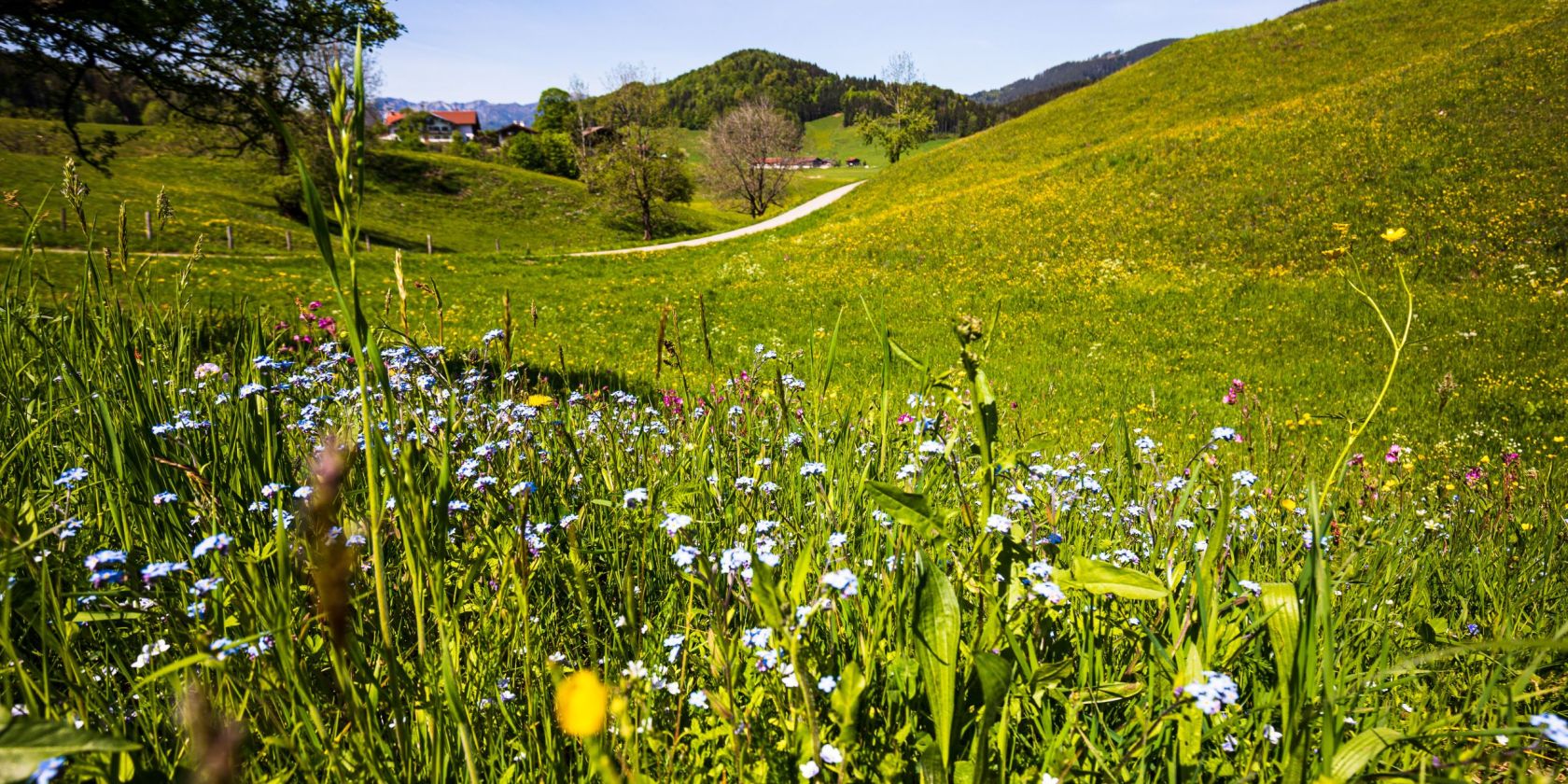 , © Ruhpolding Tourismus / Andreas Plenk