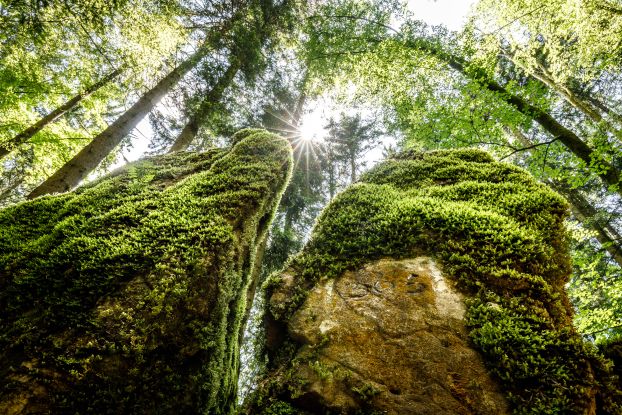 Spirit Guided Hiking Tour, © Ruhpolding Tourismus