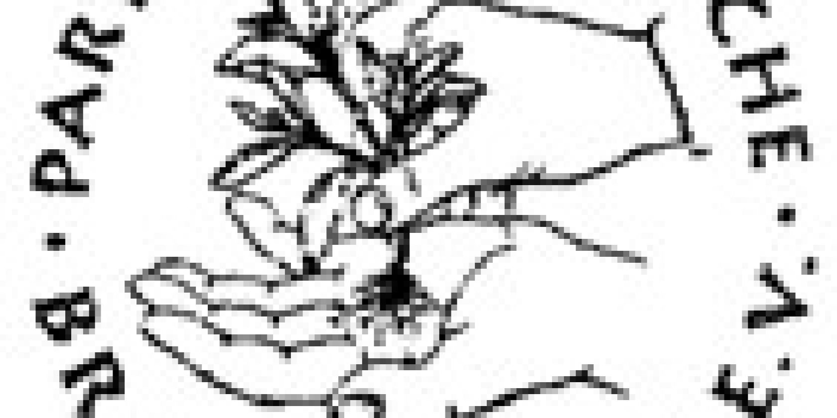 Logo Brasilienhilfe, &copy; &copy;Brasilienhilfe