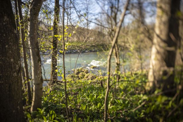 Naturspaziergang - Anmeldung erforderlich!