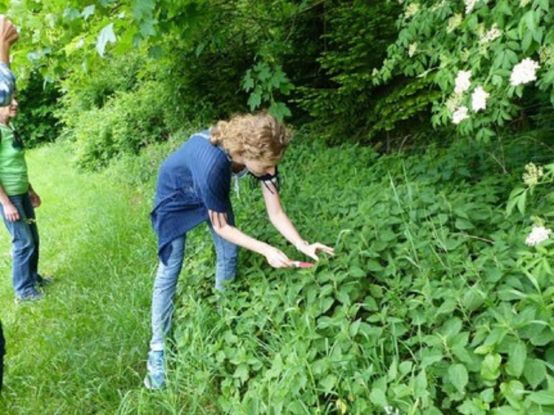 Kräuterwanderung in Chieming