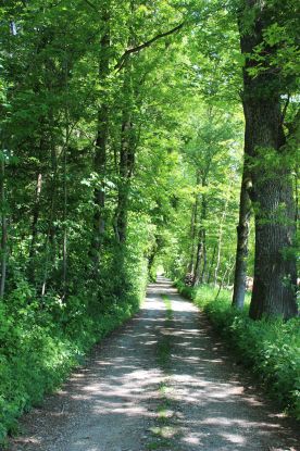 Frühjahrstour im Auwald, © Gemeinde Fridolfing
