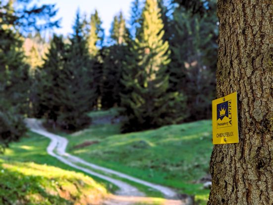 Premiumwanderweg Schild Chiemseeblick, © Tourist Information - Thomas
