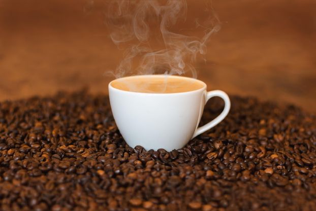 Senioren Kaffeekränzchen in der Festung, © Bild von Felix auf Pixabay