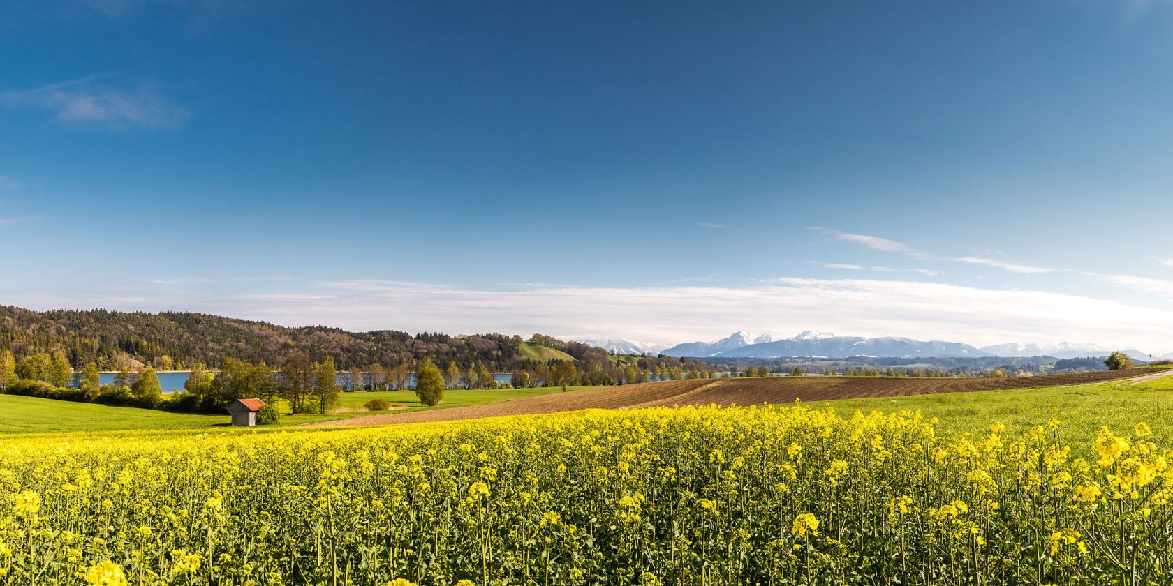 Panorama Tachinger See, © Richard Scheuerecker