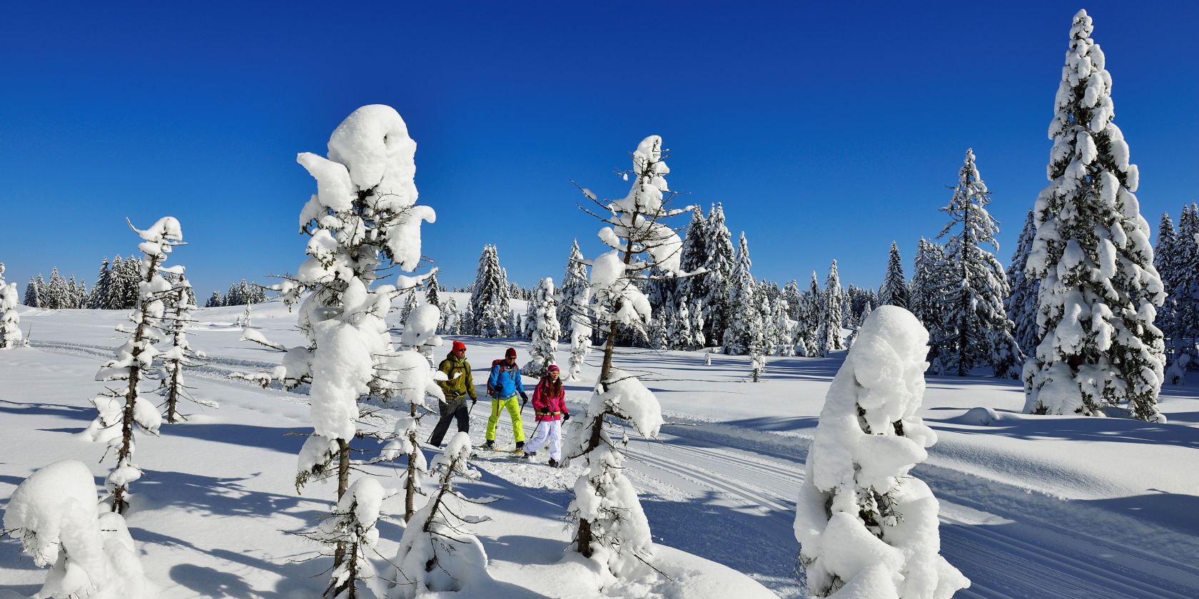 Schneeschuhwandern Hemmersuppenalm Fellhorn, © Eisele Hein