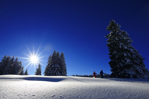 Premium Winterwandern Hemmersuppenalm, © Eisele Hein