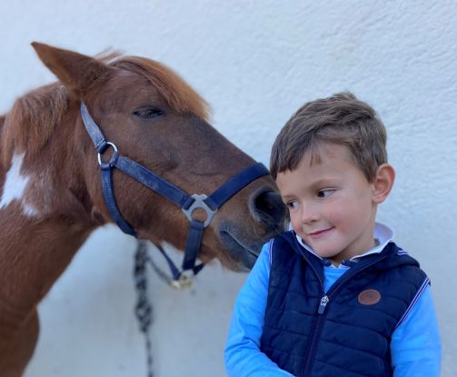 Ponyclub