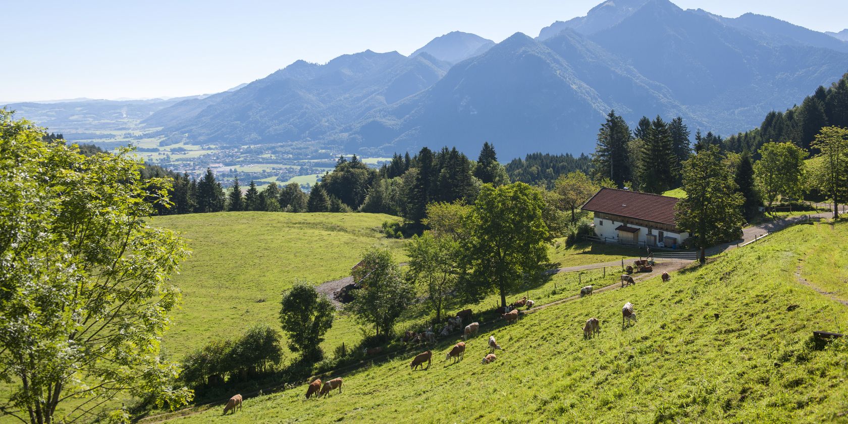 Grassauer Rachalm, © Chiemgau GmbH - Tourismus