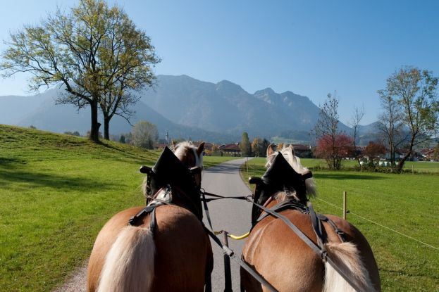 inzell-sommer-panorama-kutschenfahrt_7