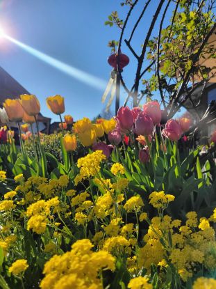 Fr&uuml;hling Garten Natur  Tourist-Info Chieming (3), &copy; Tourist-Info Chieming