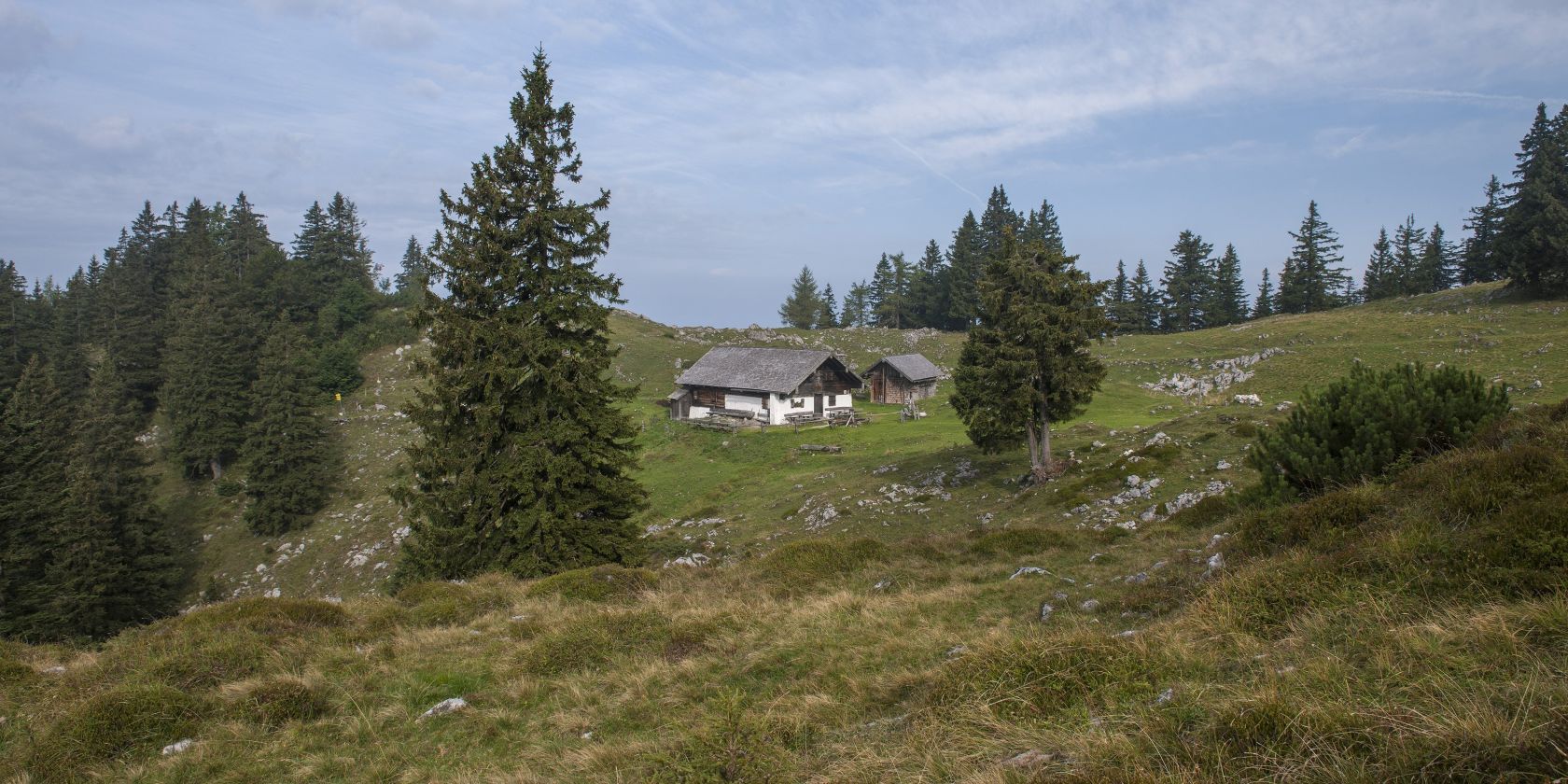 Kohler Alm, © Inzeller Touristik GmbH