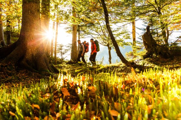 Guided Hiking Tour to the Marmots, © Ruhpolding Tourismus