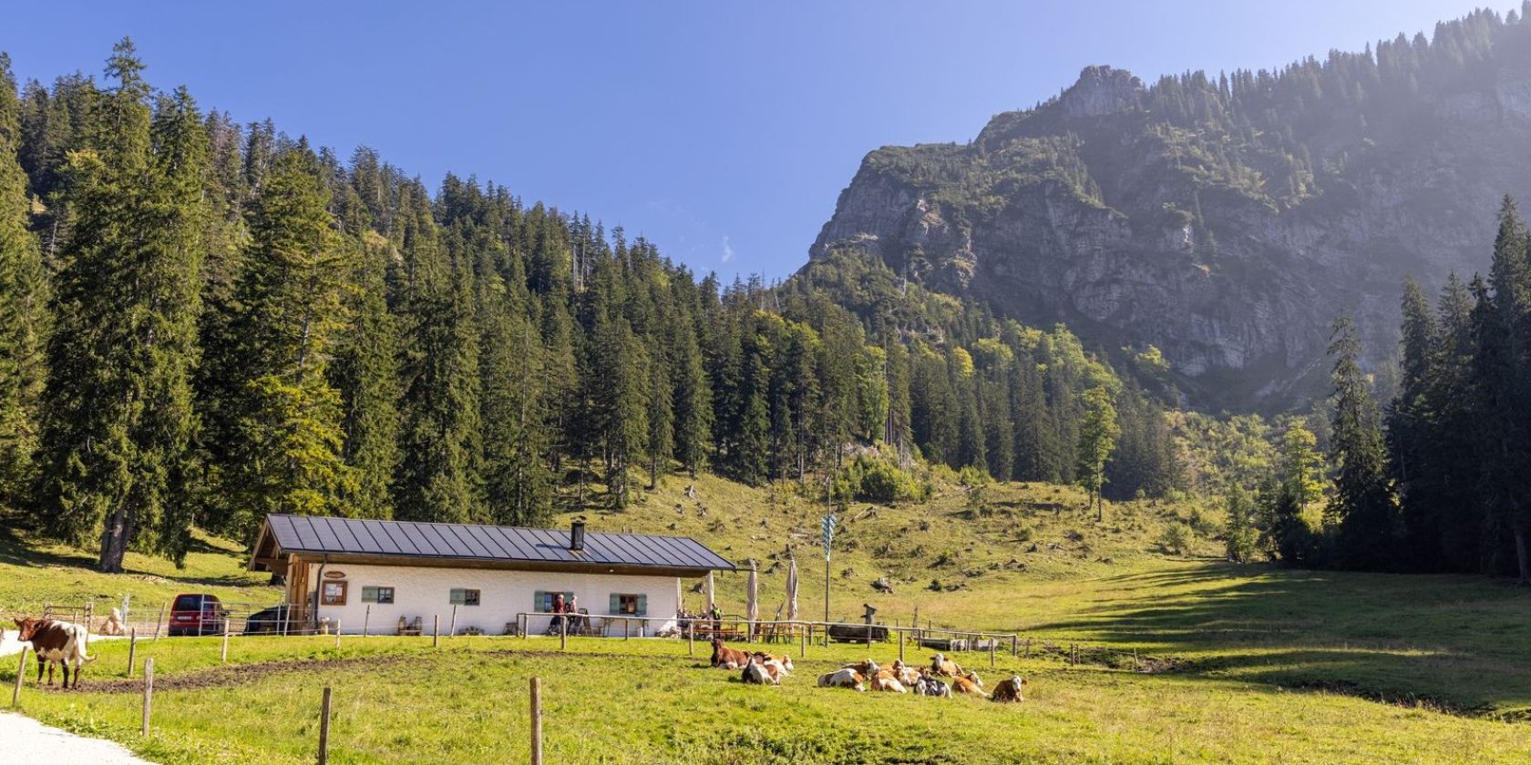 Brachtalm