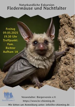 Fledermausführung, © Bürgerverein Chieming