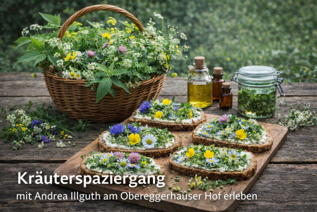 Kr&auml;uterspaziergang_Andrea_Illguth_Obereggerhauser Hof.