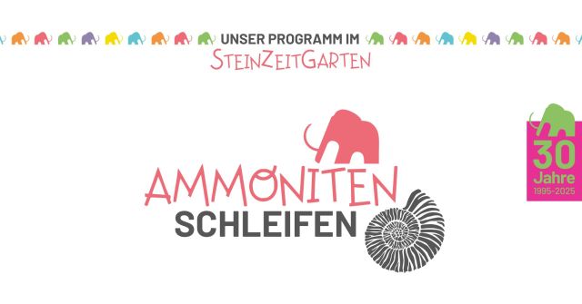 Ammoniten schleifen MammutMuseum