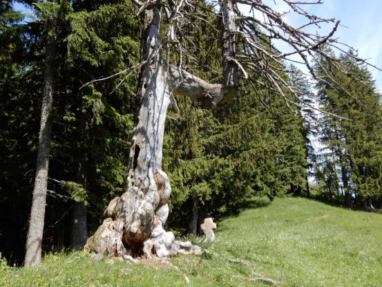 Gedenkkreuz_Kaindlerin, © Kath. Pfarramt St. Georg