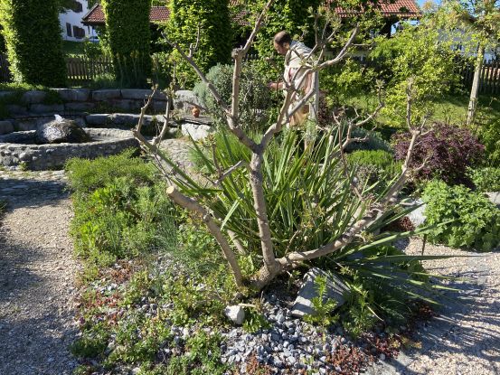 Römergarten in Bedaium (59), © Tourist-Info Seebruck