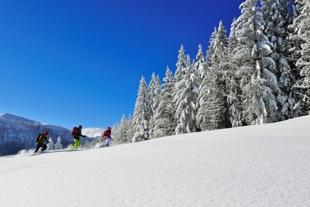 Schneeschuhwandern Hemmersuppenalm Fellhorn, © Eisele Hein