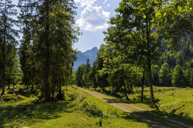 The Ruhpoldinger forest railroad - A hike in the footsteps of the past., © Ruhpolding Tourismus / Andreas Plenk