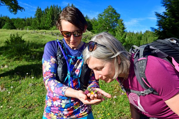 Kräuterwanderung, © Eisele Hein