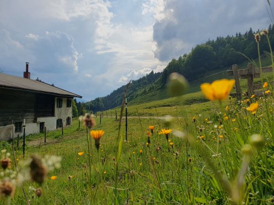 Jochberg Pötschalm, © Plafinger
