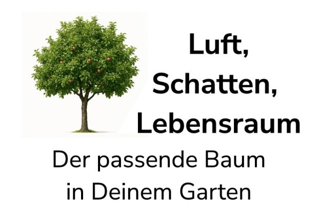 Luft, Schatten, Lebensraum