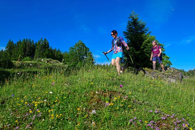 Kräuterwanderung, © Eisele Hein