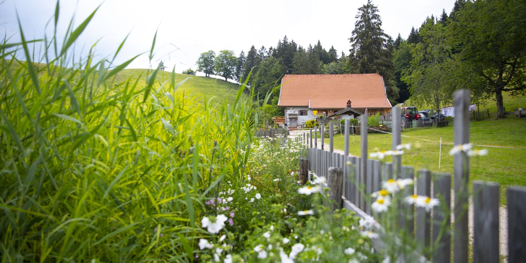 Hefteralm, © Tourist-Information Grassau