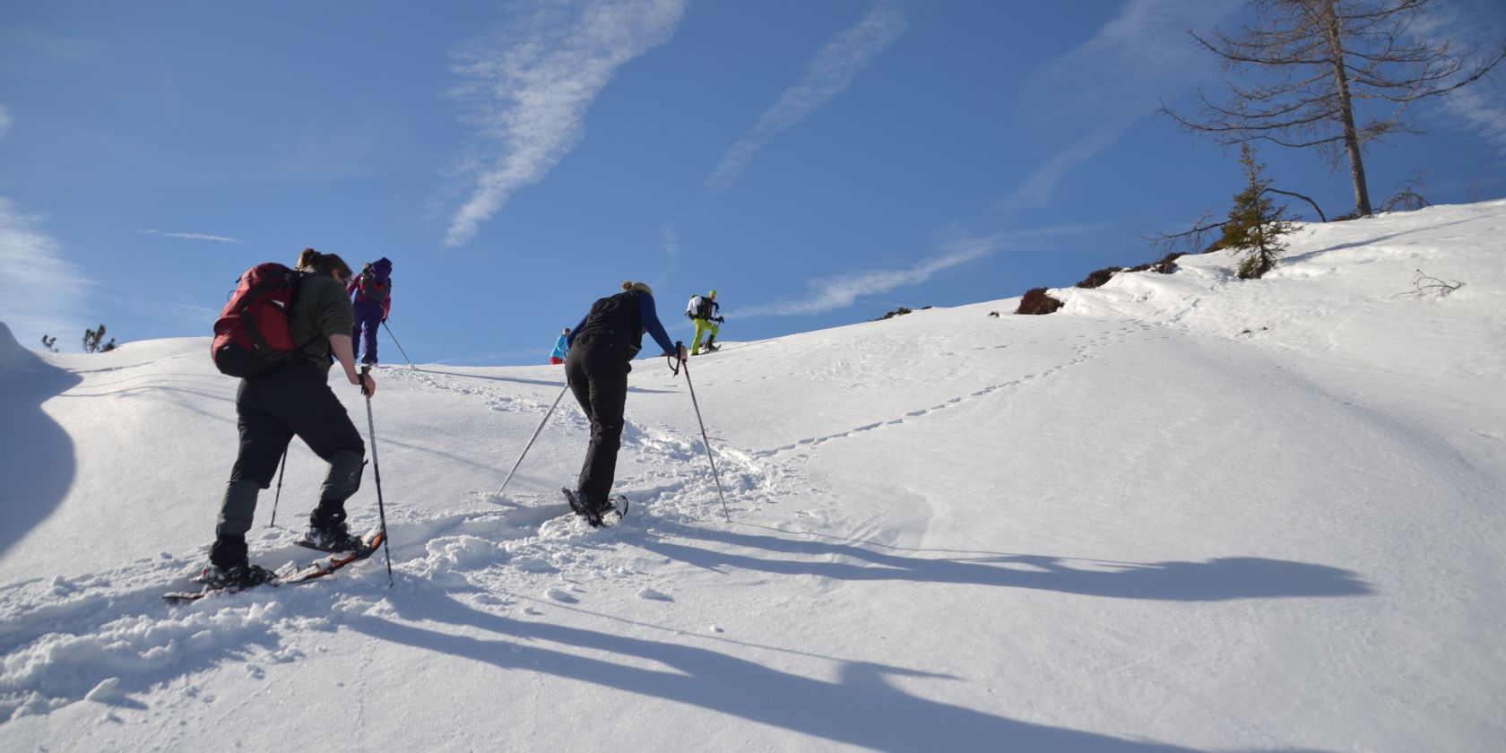 Schneeschuhwanderung mit Walter Wolfenstetter, © Walter Wolfenstetter