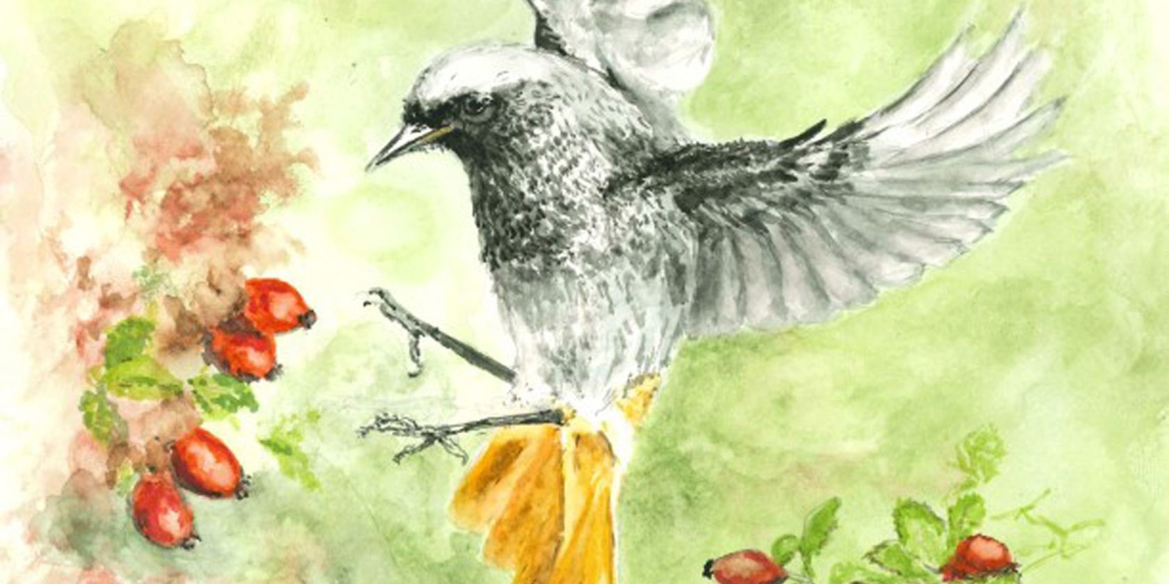 Aquarell-Ausstellung "Vogel des Jahres", © Karl Meyer