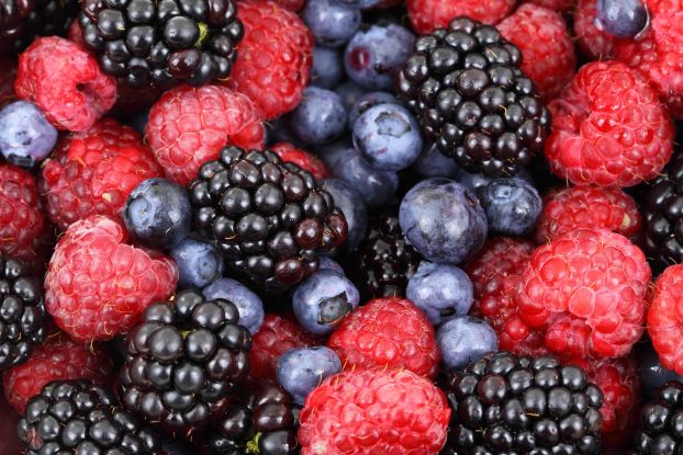 Pilze, Beeren, Samen: Ein (nicht nur) kulinarischer Streifzug durch den herbstlichen Wald