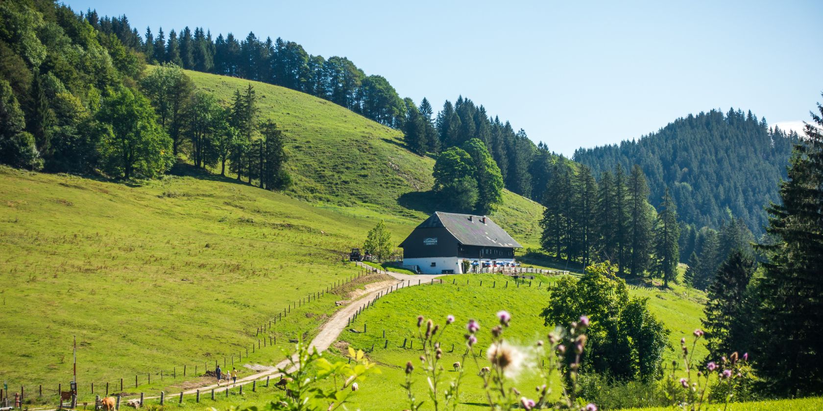Hocherbalm, © Ruhpolding Tourismus / Andreas Plenk