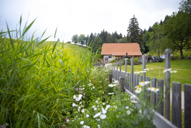 Hefteralm, © Tourist-Information Grassau