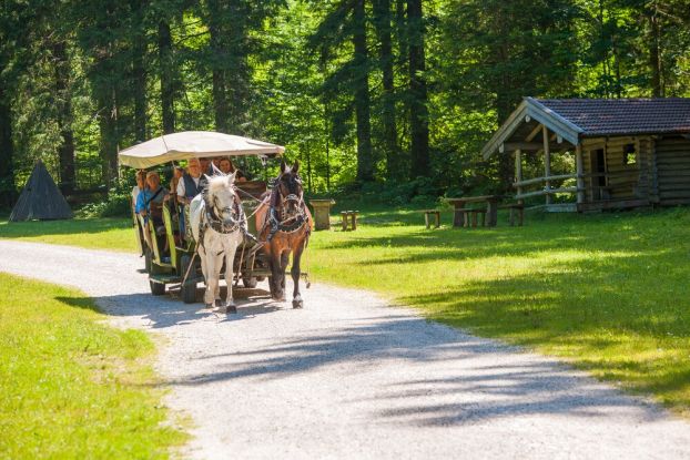 inzell-sommer-natur_5-1