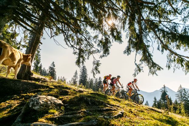 E-bike tours with Alfons Pichler, © Ruhpolding Tourismus / Andreas Plenk