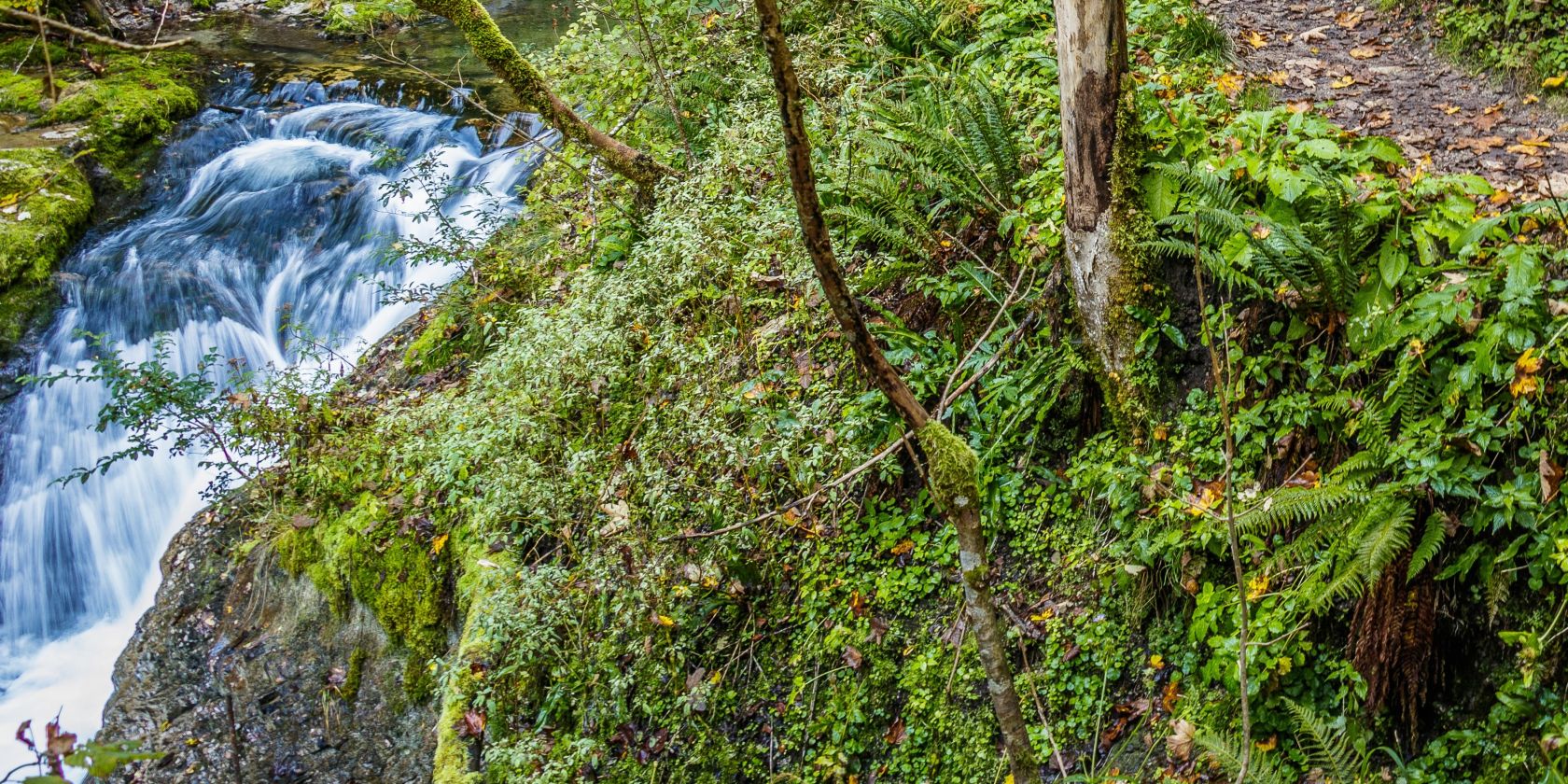 Wanderung zum Wasserloch, © Inzeller Touristik GmbH