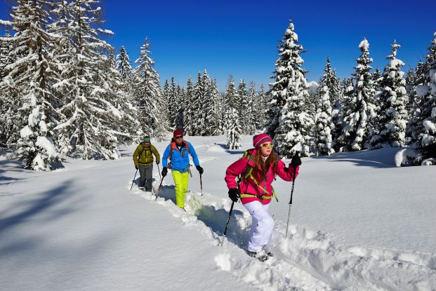 Schneeschuhwandern Hemmersuppenalm Fellhorn, © Eisele Hein