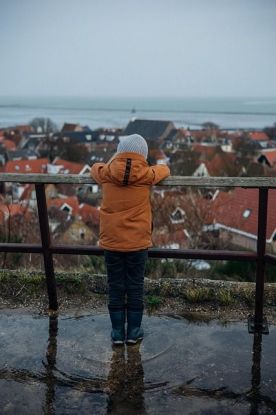 Entwicklungstraumata und deren Auswirkungen auf das Erwachsenenleben