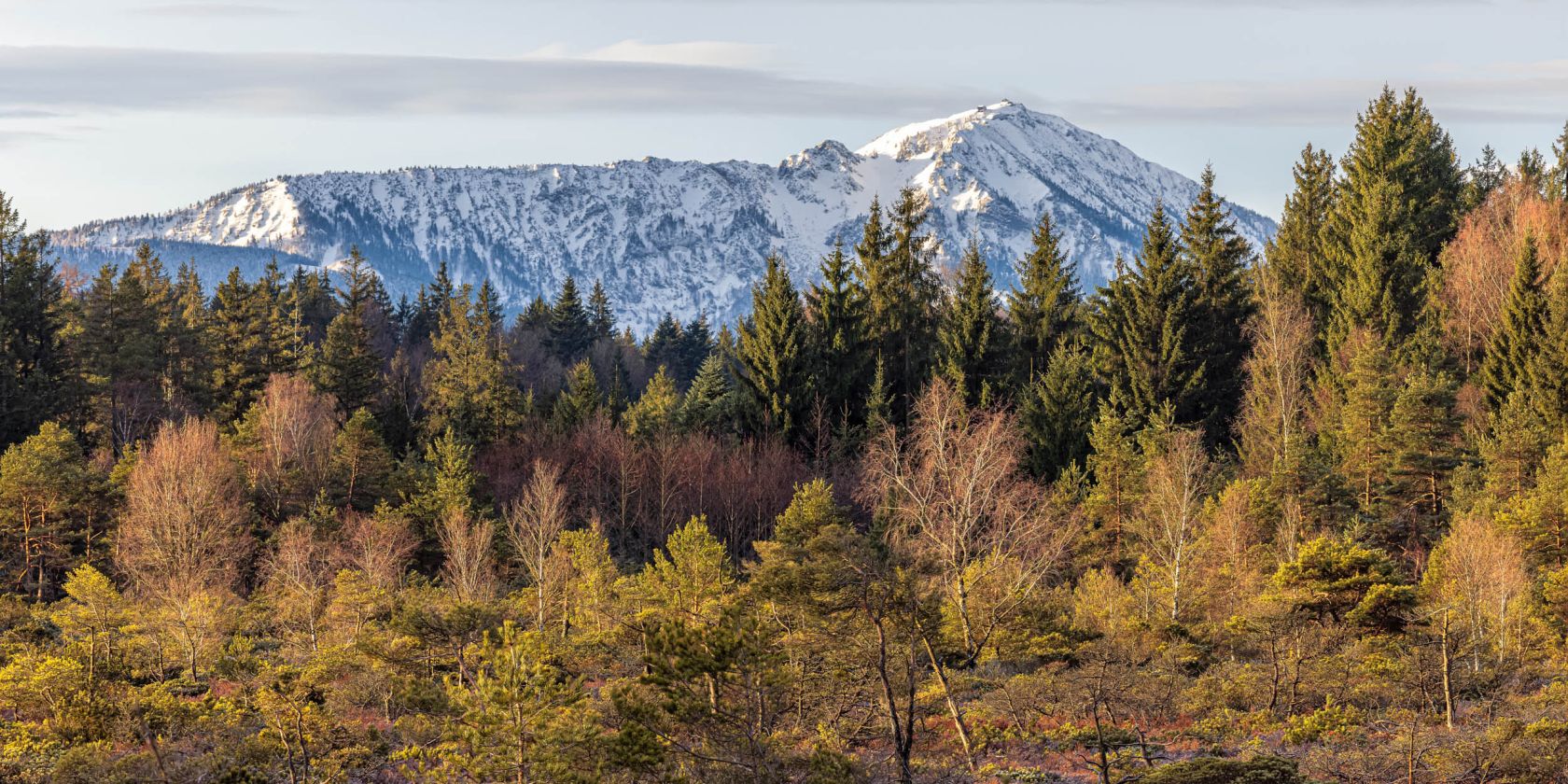 Ausblick Demelfilz, © Tourist-Info Waginger See