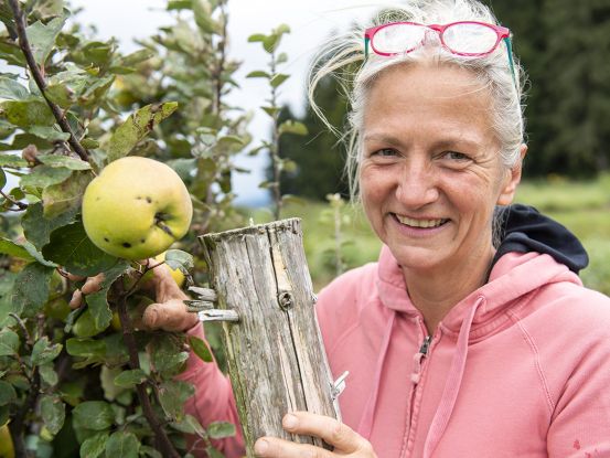 Aktionstag - Zukunft pflanzen, © Tourist-Info Waginger See